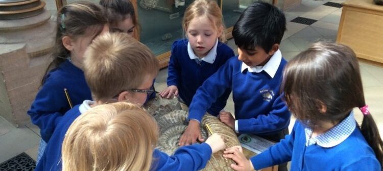 Welcome to our new website